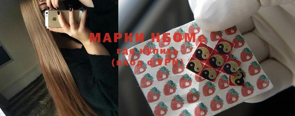 сатива Богородицк
