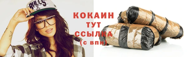 ECSTASY Богданович