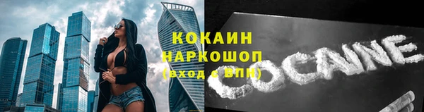 сатива Богородицк