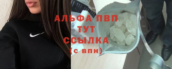 ECSTASY Богданович