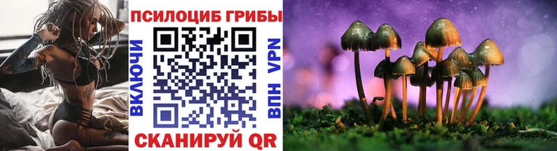 Галлюциногенные грибы мухоморы  Купить закладки  Мещовск 